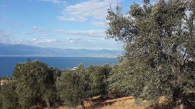 Photos of Teomida Hotel