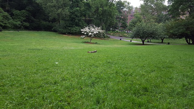 Fort Tryon Park