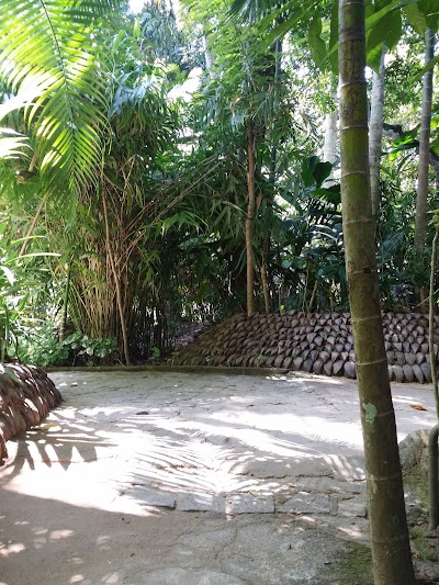 Photos of The Island Spice Grove
