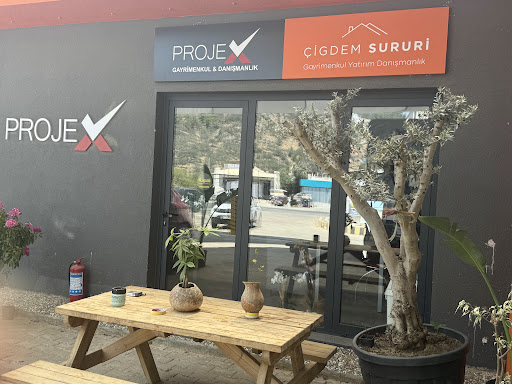 Çiğdem Sururi Gayrimenkul Yatırım Danışmanlığı Bodrum