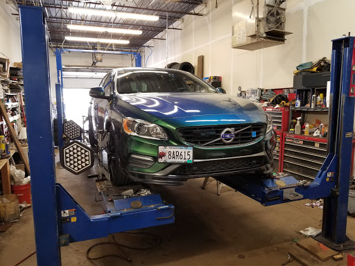 The Alignment Guy - Visual