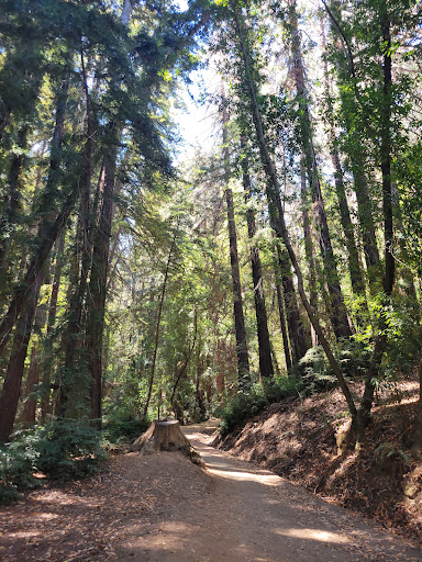Wunderlich County Park - Thumbnail