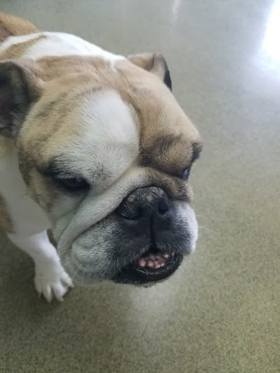 Photos of Olathe West Veterinary Care