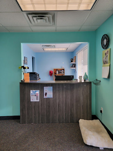 Knafla Chiropractic Clinic - Thumbnail