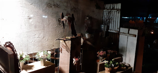 Die Rose - Visual