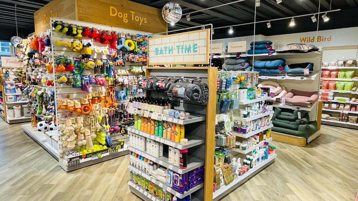 Pets Corner Ferndown interior