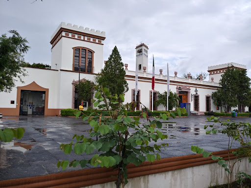CAM EL MARQUÉS - Thumbnail