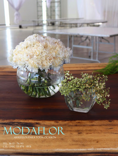ModaFlor - Visual