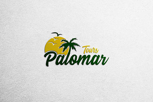 Palomar Tours - Visual