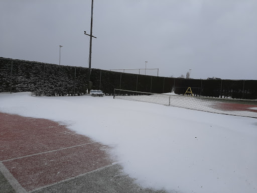 Voetbalvereniging "Knollendam" - Thumbnail