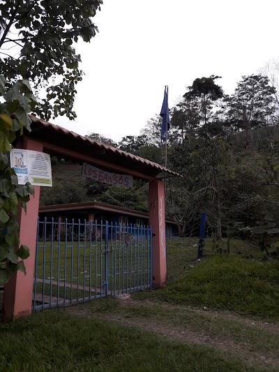 school