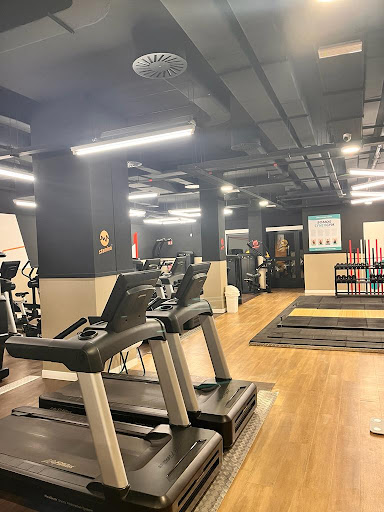 Synergym Murcia Rio Segura - Thumbnail
