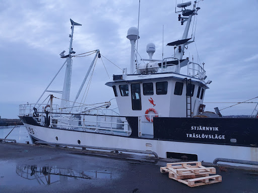Träslövsläge fishing port - Thumbnail