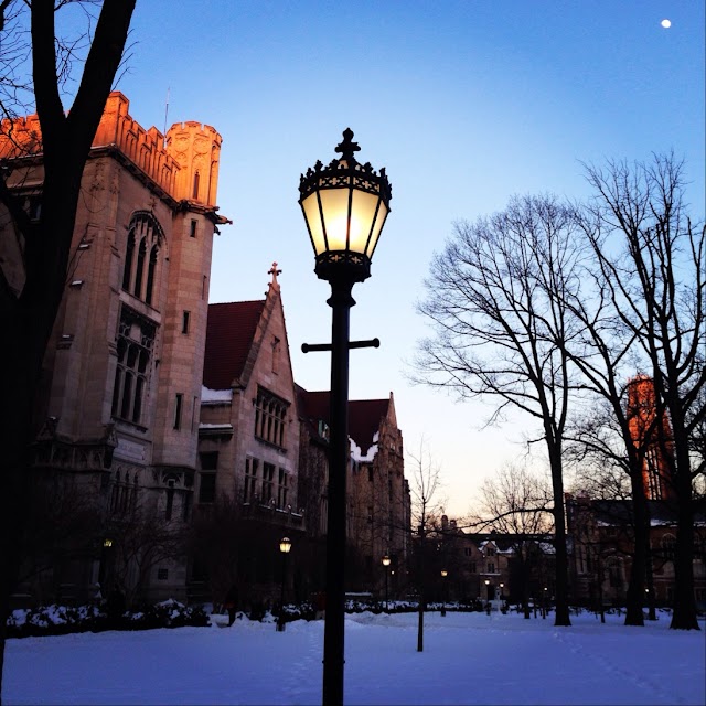 The University of Chicago