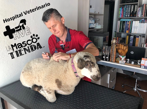 CENVET Hospital Veterinario