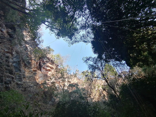 El Sótano hondo - Thumbnail