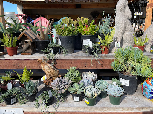 Arroyo Grande Home And Garden - Thumbnail