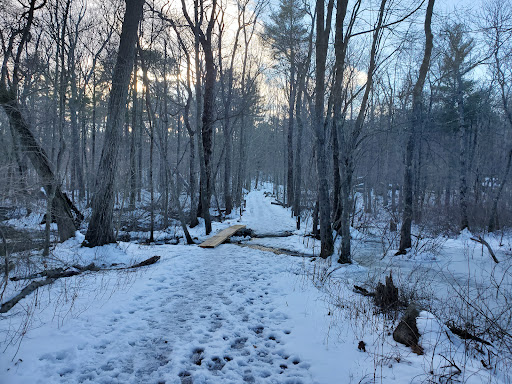 Whitney and Thayer Woods Gallery - United States