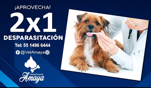 Veterinaria Amaya