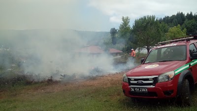 fire-station