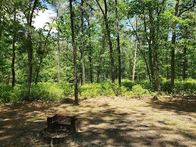 Godfrey Bridge Campground