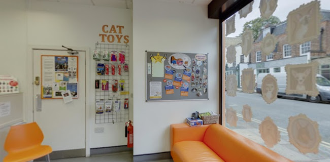 Medivet Islington Liverpool Rd Phone number