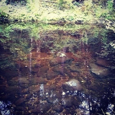 Evens Creek