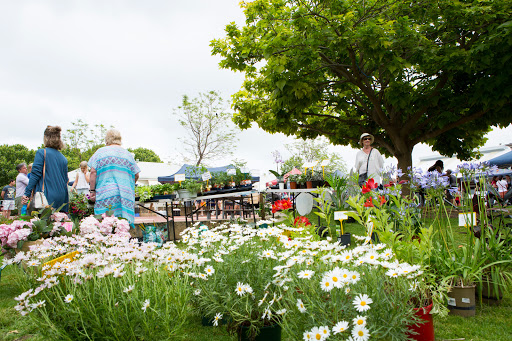 Freshie Farmers Market - Thumbnail
