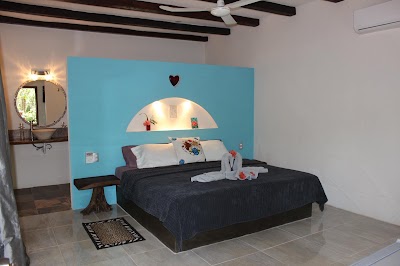Photos of Casa Selva Orquideas