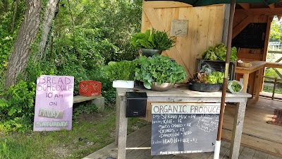 The Bread Stand ("The Bread Lady")