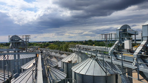 Fengrain Ltd