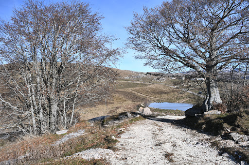 Parcheggio Malga Modo - Thumbnail