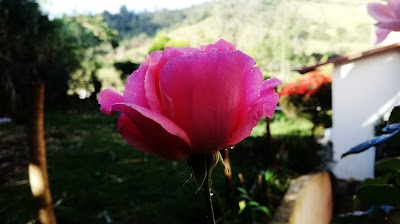 Photos of Parque Los Sauces