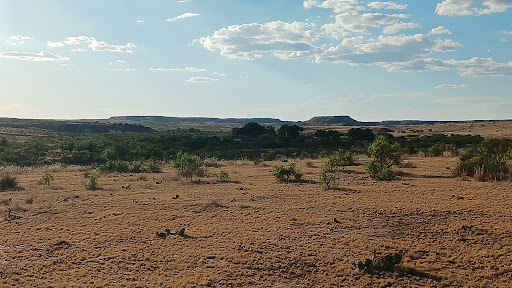 Spur Ranch - Visual