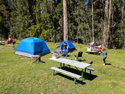 Hosmer Grove Campground