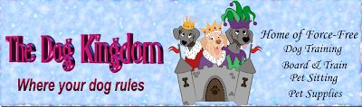 Dog Kingdom Pet Supply