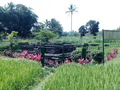 Photos of Candi Asu