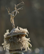 Gwen Vannerie à Saint-Sauveur-la-Pommeraye