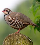 Elevage De La Motte à Treis-Sants-en-Ouche