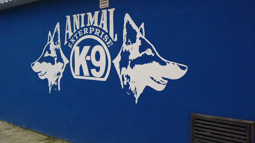 Animal Enterprise Gallery - Mexico