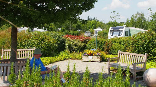 New Forest Caravan and Motorhome Club Centenary Campsite - Thumbnail