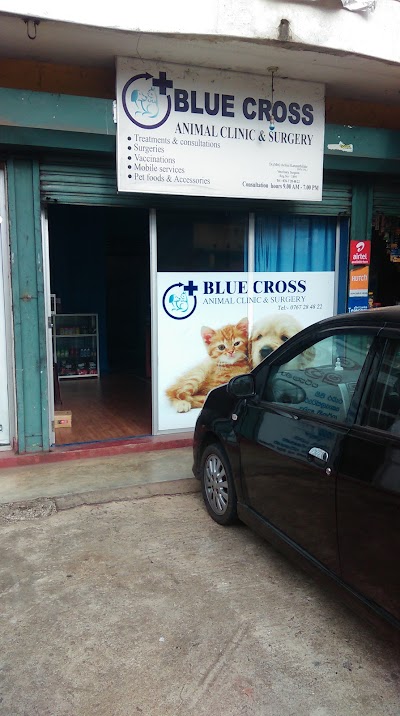 Photos of BLUE CROSS Animal Clinic & Surgery