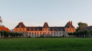 Photo n°42 de Château de Lévis à Lurcy-Lévis (Site historique)