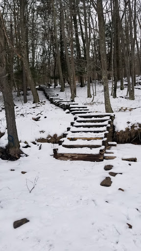 Deep Creek Lake Real Estate - Thumbnail