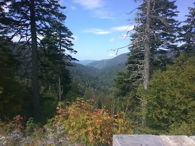 Camping In the Smokies