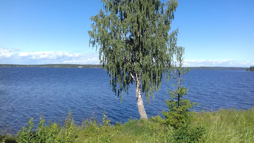 Camping in Råneå - Thumbnail
