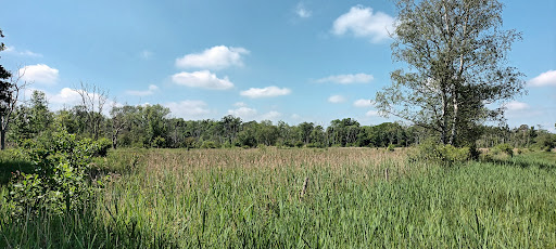 Chippenham Fen