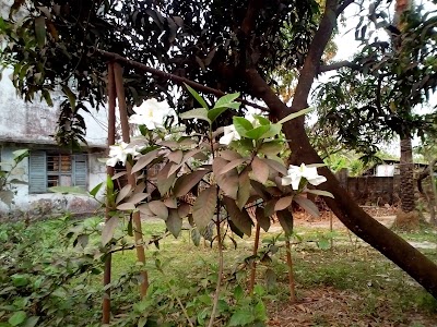 Photos of DeshiMuKH