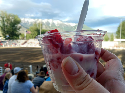 PRCA Rodeo Grounds - Visual