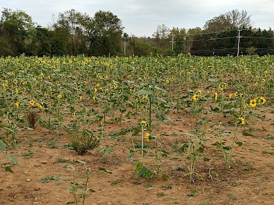 University of Maryland Extension, Baltimore County